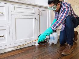 Best Real Estate Pest Inspections  in Elko New Market, MN